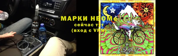 гашик Алексин