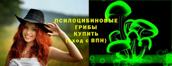гашик Алзамай