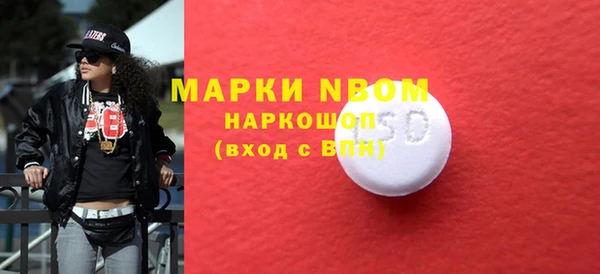 гашик Алексин