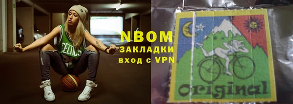 гашик Алексин