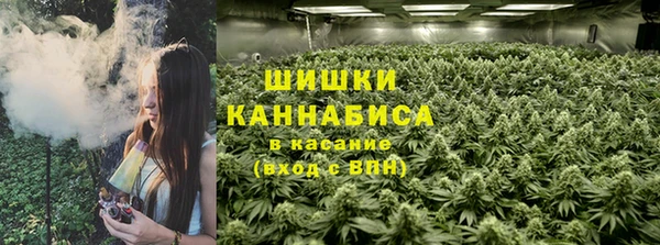 гашик Алзамай