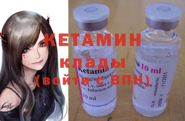 гашик Алексин